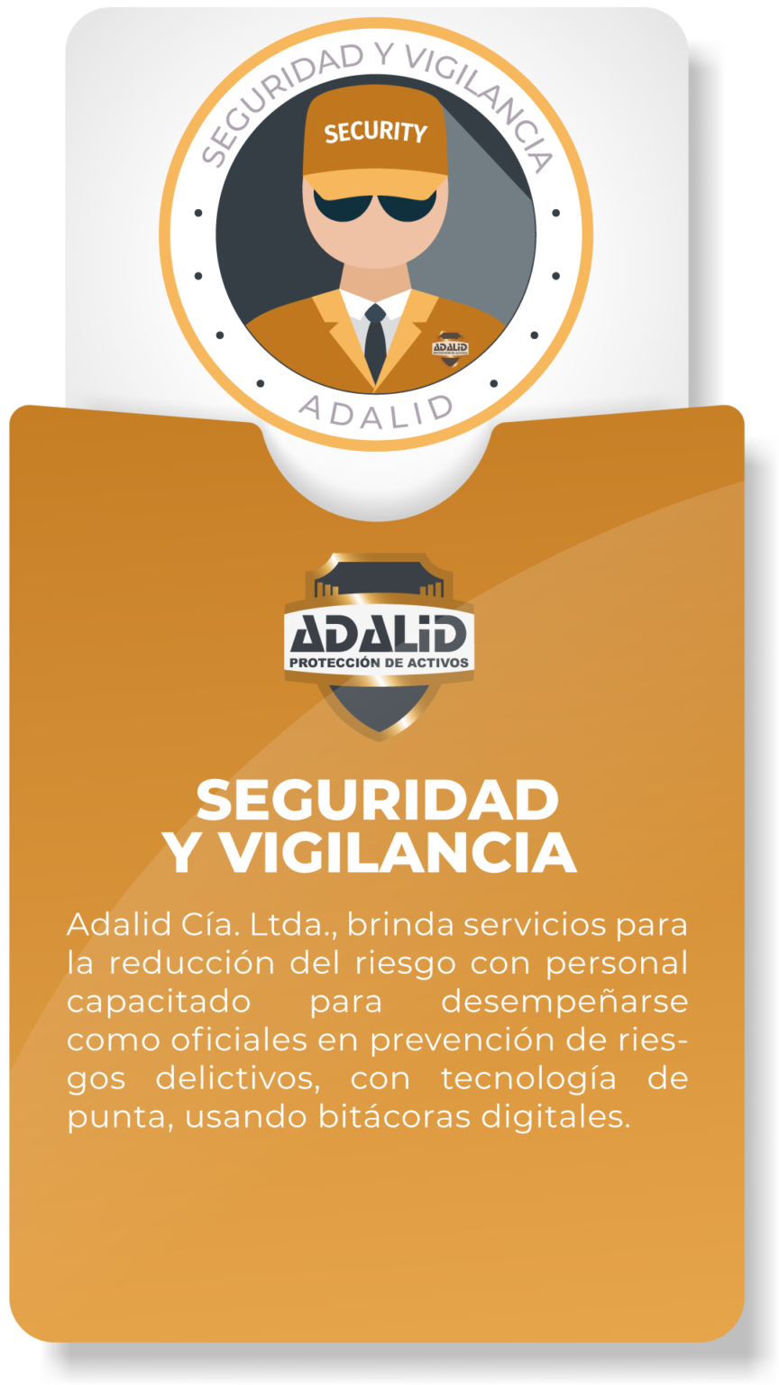 Seguridad y Vigilancia